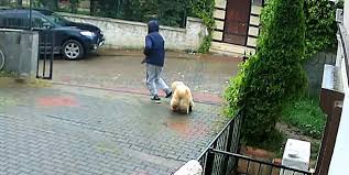 herkÃ¼l Ã§alÄ±ndÄ± ile ilgili gÃ¶rsel sonucu