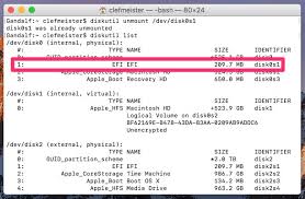 Start up your mac in macos. Macos Getting Rid Of The Windows Efi Boot Entry The Mac Observer