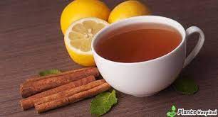 17 Health Benefits Of Cinnamon Tea 10 Strong Reasons To Drink More
