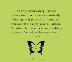 36 Butterfly Quotes That Will Inspire And Motivate You