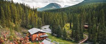 Enjoy the beautiful banff & lake louise mountain vistas with your family year round. Sundance Lodge Banff Trail Riders Official Website