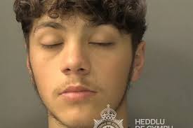 One of Wales' worst teen criminals smashed into Tesco and 'treated it like  playground'