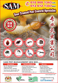 Every step of our pest control processes is designed with the care of your family and pets in mind. Galleries Sam Pest Management Sdn Bhd