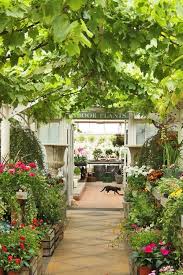 Like The Floor Wonder If I Could Make Our Concrete Walk Way Look Something Like This Clifton Nurseries Garden Center Displays Planting Flowers