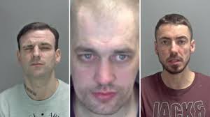 Jailed in May: 13 Norfolk criminals locked up last month