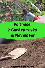 Learn About These Important Garden Tasks To Get Done Before The Cold Settles In These Tasks Will Help Garden Tasks Backyard Vegetable Gardens Gardening Tips