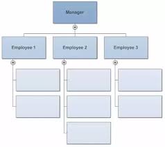 Examples Of Org Charts Jasonkellyphoto Co