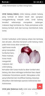 Salah satu ciri dari umbi lapis adalah pangkal daun pada umbi lapis, yang juga dikenal sebagai sisik, mengandung cadangan makanan untuk memungkinkan tanaman bertahan dari kondisi cuaca buruk. Ciri Ciri Umbi Akar Ubi Jalar Ciri Ciri Ubi Jalar Serta Khasiat Dan Manfaatnya Situs Tanaman Obat Indonesia Ravidravidwaddingham