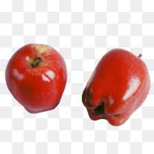 Mewarnai gambar buah buahan dalam keranjang mewarnai pinterest via pinterest.com. Buah Auglis Gambar Gambar Png