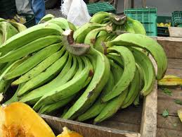 Capl El Platano Verde Large Tropical Fruits Fruit Trees Fruit