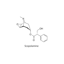 Image result for Scopolamine