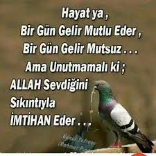 Sultan Donen Adli Kullanicinin Yasama Dayir Olumlu Bak Panosundaki Pin Hayat Mutlu