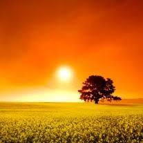 Randolph Ingram Obituary