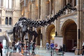 Things To Do With The Kids In Manchester For February Half Term 2020