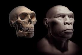 Neolithic)‏ هو المرحلة الأخيرة من عصور ما قبل التاريخ (عصور ما قبل الكتابة) عرف الإنسان فيه الاستقرار الدائم في قرى ثابته من خلال توصله إلى الزراعة وتدجين الحيوانات كما شهد الإنسان في هذه المرحلة تطور. Ø§Ù„Ø¹ØµØ± Ø§Ù„Ø­Ø¬Ø±ÙŠ Ø§Ù„Ù‚Ø¯ÙŠÙ… Ø£Ù‚Ù„ Ø§Ù„ØªØºÙŠÙŠØ±Ø§Øª Ø§Ù„ØªÙŠ ØªÙ… ØªØ­Ø¯ÙŠØ¯Ù‡Ø§ ÙÙŠ Ø§Ù„Ø¹ØµØ± Ø§Ù„Ø­Ø¬Ø±ÙŠ Ø§Ù„Ù…Ø¨ÙƒØ±