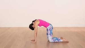It runs from the neck to the upper back. Anatomy Of The Spine The Upper Back Ekhart Yoga