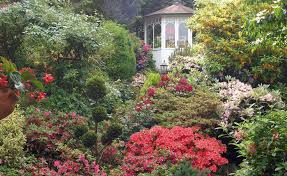 Rhododendrongarten Die Schonsten Begleit Pflanzen Pflanzen Straucher Pflanzen Waldpflanzen