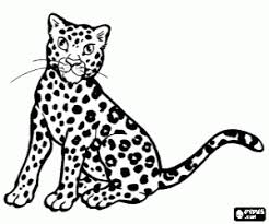Os desenhos para colorir colorir onça são uma maneira divertida para crianças e adultos desenvolver a criatividade, concentração, coordenação motora e cores. Jovem Guepardo Leopardo Cacador Ou Onca Africana Para Colorir E Imprimir