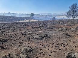 Noticiario archivos - Web de Baza