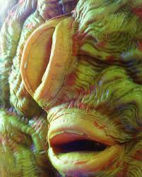 Image result for Stomatanthes sp.no.1