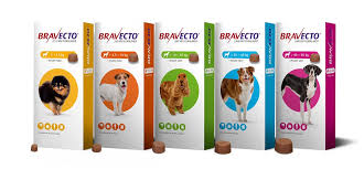 How long does it take to get sick? Bravecto Flea Treatments For Cats Dogs Spot On Tablets Viovet