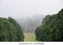 Image result for Misty Green 1958 Plymouth