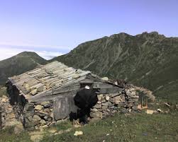 0 466 312 4006 fax: 08290 Kucukkoy Arhavi Artvin Turkey Mapio Net