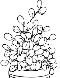 I see colorful food coloring page. Bunkhousequilting Coloring Pages Free Printable Coloring Pages Rubber Tree