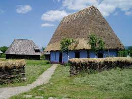 We did not find results for: Muzeul In Aer Liber Negresti Oas