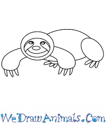 Learn how to draw this sloth and other cute rainforest creatures! How To Draw A Simple Sloth For Kids