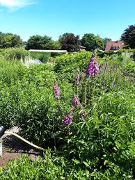 Die kinder suchen bunt bemalte eier , süßigkeiten und kleine geschenke. Die Garten Planung Geht Weiter Unser Ausflug Zum Garten Der Horizonte Am Krogen Okologisches Wohnquartier Bargteheide