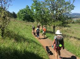 Image result for tbn:Qm8QJA0FQGkeJM::www.trekkingchile.com/Images/mis_fotos/1201890604.jpg