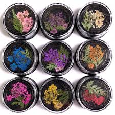 We did not find results for: Magpie Dried Flowers Collection Nail Art Decoration