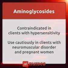 Aminoglycosides Nclex Nursing School Prerequisites Nursing School Tips