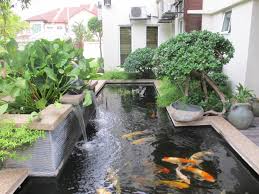 Kolam ikan mini untuk ikan hias koi nila. 15 Ide Desain Kolam Ikan Minimalis Yang Kamu Pasti Suka