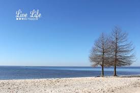 Fun Things To Do At Fontainebleau State Park Lake Pontchartrain Louisiana Near New Orleans State Parks Lake Pontchartrain New Orleans Travel