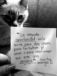 Pin De Linda Cano En Pensamientos Frases Indirectas Frases Indirectas Muy Directas Citas Sarcasticas