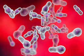 Researchers Attack Menacing “Superbug” That Kills at Least 29,000 People a  Year