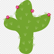 The barrel cacti bloom and set fruit in the summer. Barrel Cactus Png Images Pngegg
