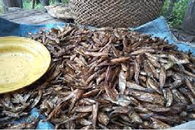 Maybe you would like to learn more about one of these? Ikan Salai Khas Borneo Dari Proses Hingga Kirim Keluar Negeri Borneolive