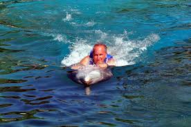 David Wayne Berzon Obituary