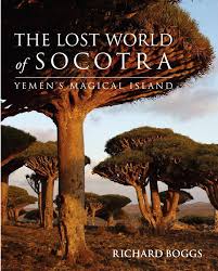 Island Of Socotra Yemen What A Place Socotra The Lost World Island