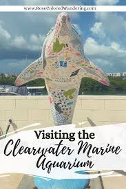 Visiting The Clearwater Marine Aquarium In 2020 Clearwater Marine Aquarium Marine Aquarium Clear Water