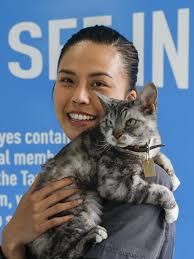 Pet food industry: No laws in Australia to regulate quality, safety