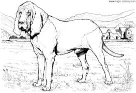 Filed under miscellaneous coloring pages. Magic Coloring Hunting Dog Coloring Page