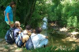 Everything you want to know. The Top 10 Sinaloa Walking Tours W Prices