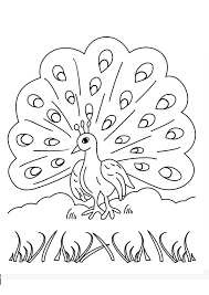 This peacock is highly detailed, which makes this printable coloring page perfect for both adults and children! Coloring Pages Cute Peacock Coloring Pages
