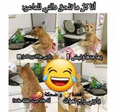 Pin By Alae Alae On تفاهة Arabic Funny Funny Fun