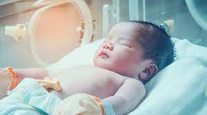 Buah jenitri merupakan buah buni bulat berwarna hijau dan menghasilkan biji bulat berwarna kaca piring memiliki bunga berwarna putih, beraroma harum dan sering dianggap sebagai bunga melati. Sindrom Bayi Biru Masalah Kesehatan Pada Bayi Baru Lahir