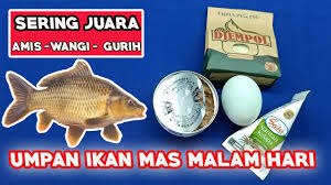 Bahan umpan putih ikan mas. Resep Umpan Ikan Mas Juara Lomba Pin On Barracuda 4news
